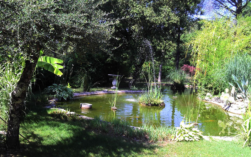 Création de bassin dans un jardin du Var